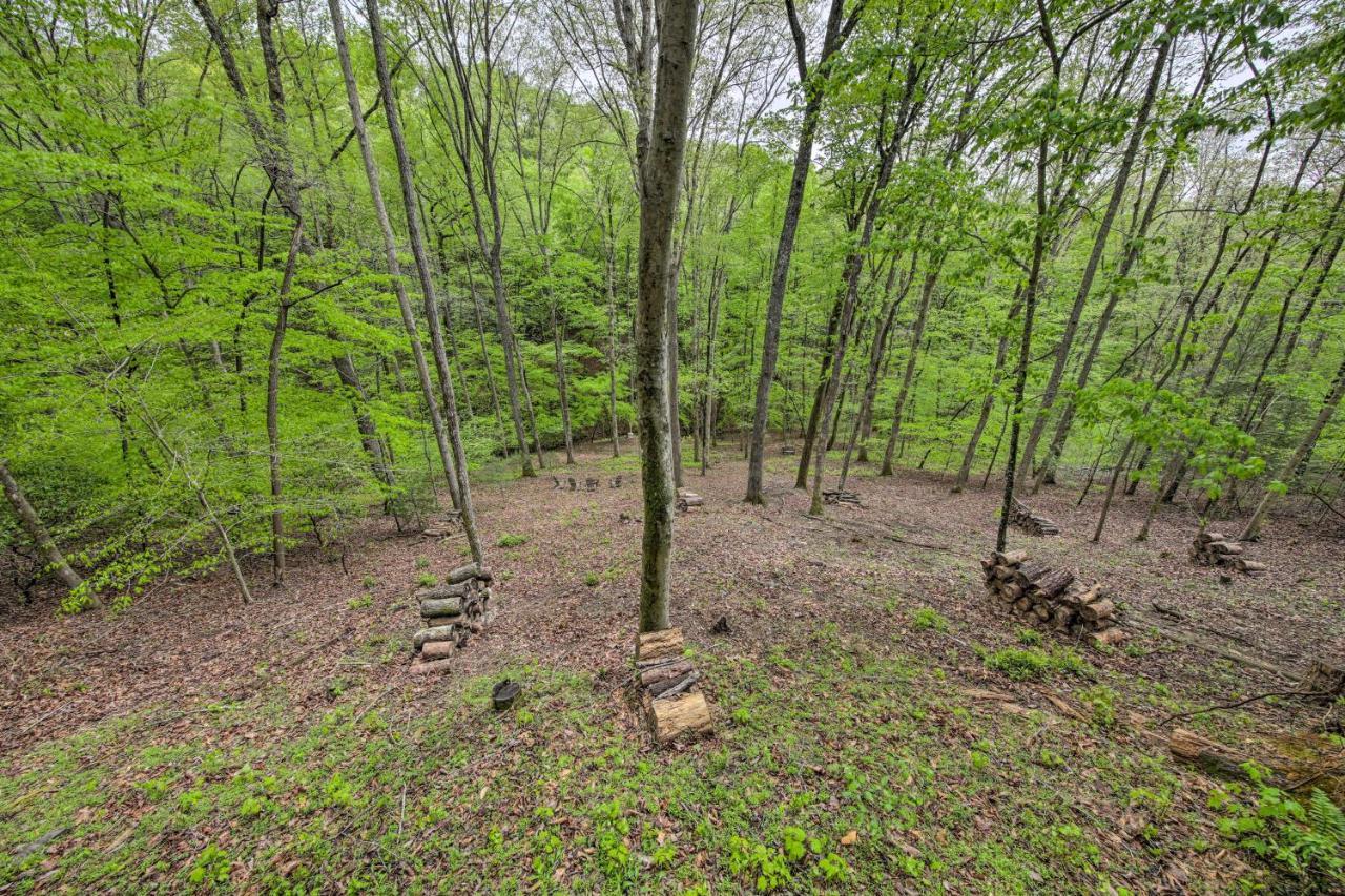 Peaceful Blue Ridge Cabin With Decks And Fire Pit المظهر الخارجي الصورة